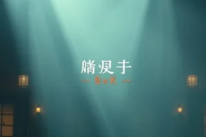《盐碱地》封面：白色盐壳上一条笔直的田埂与远处人影