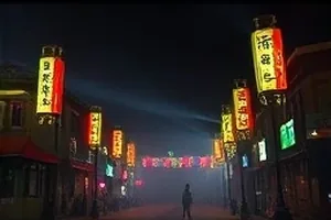 《候鸟路线》封面：湿地浅滩上成群停歇的候鸟剪影
